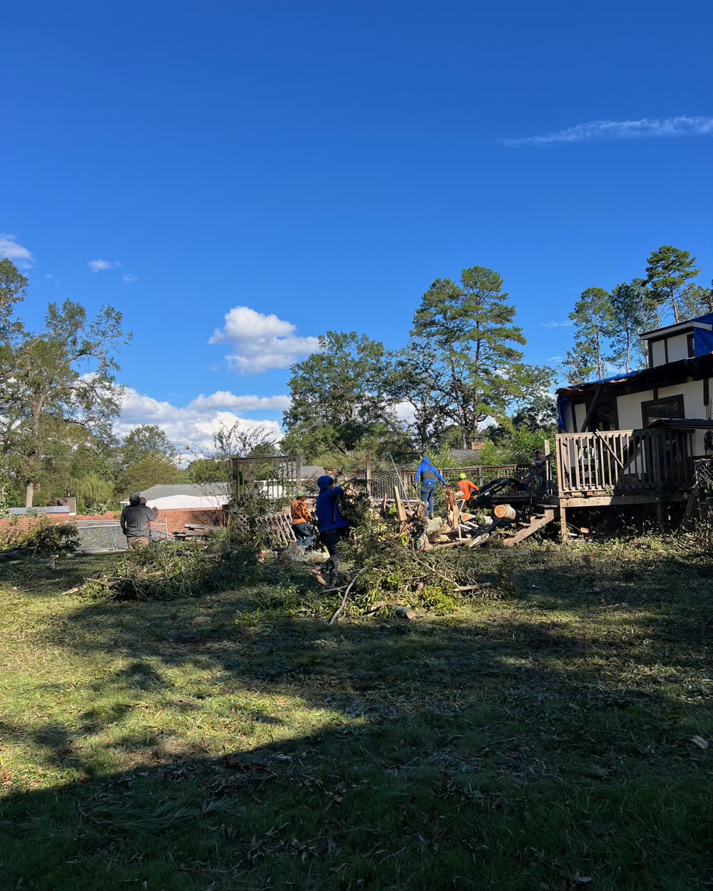 Cleanup during Apex tree work