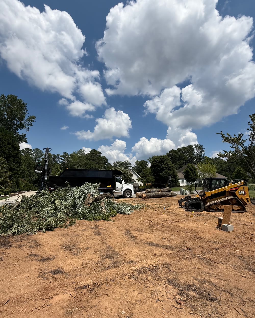 Apex equipment staged for a tree removal