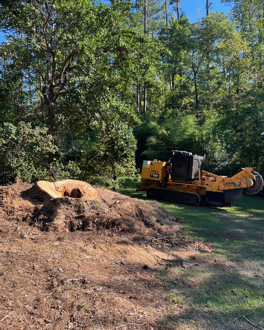 Apex stump grinding work in Greater Atlanta