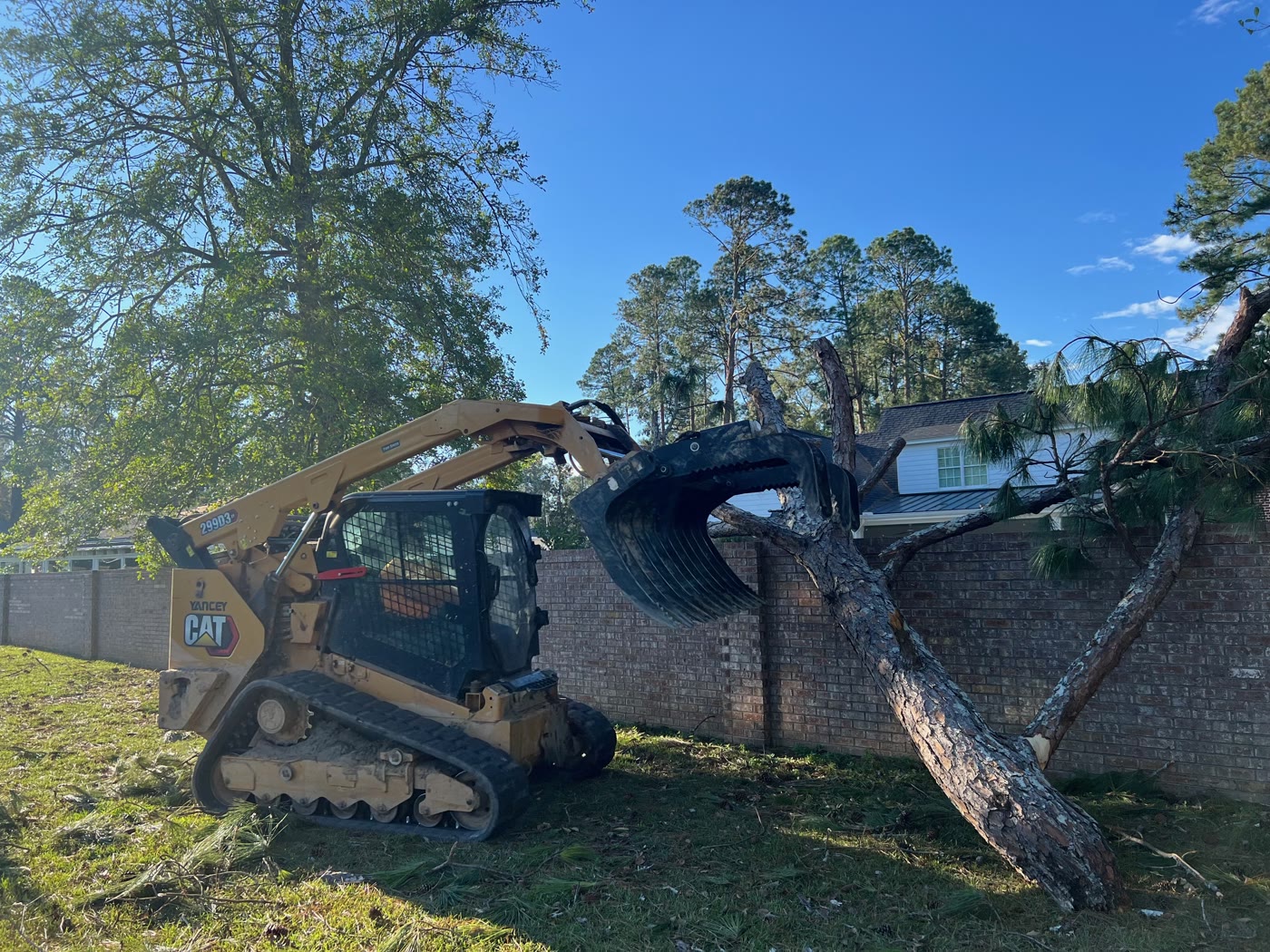 Apex tree removal work in Greater Atlanta